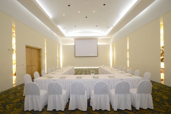 Meeting 25 of 27