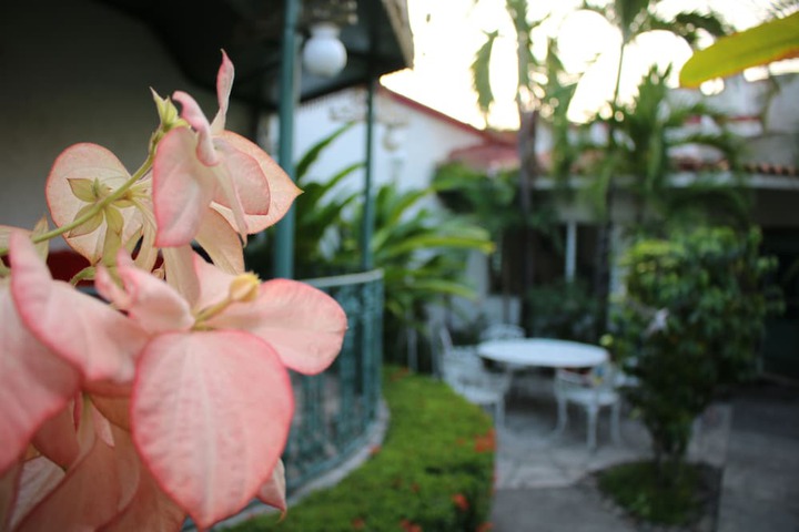 Terrace/Patio 15 of 19