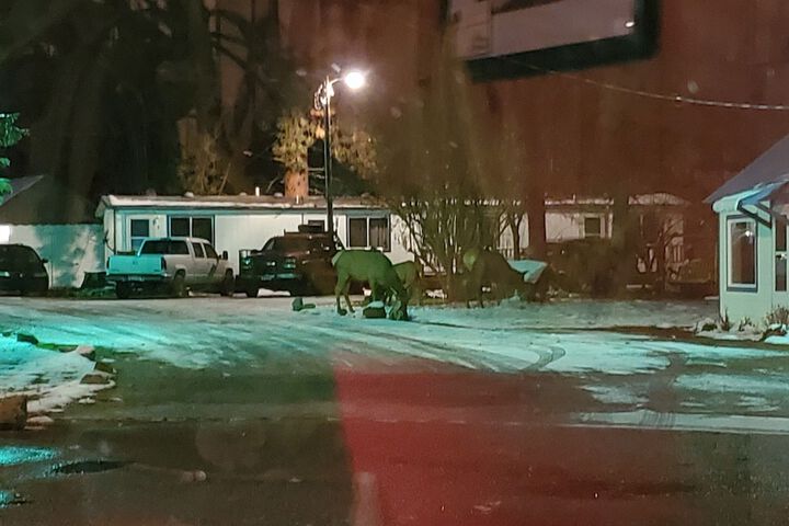 Hotel Exterior 36 of 44