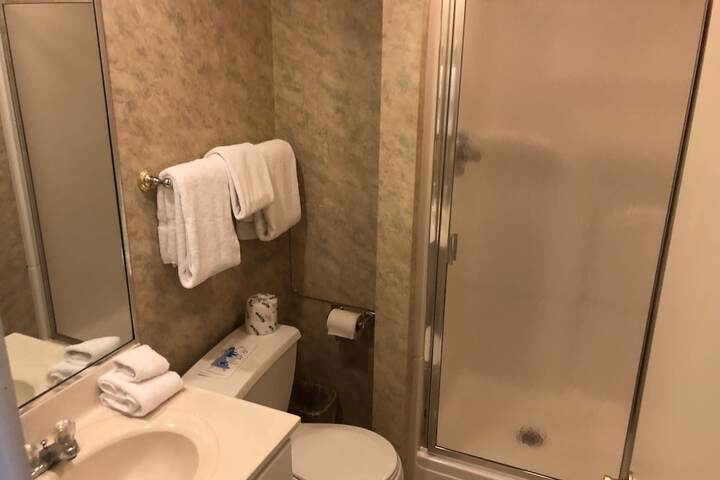 Bathroom shower