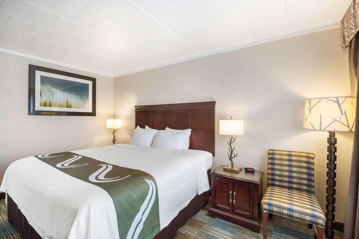Deluxe King Bed (2 of 10)