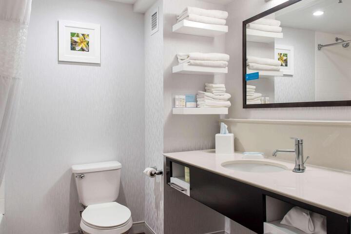 1 King Mobility Accessible with Tub (3 of 8)