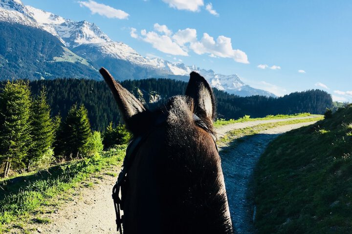 Hotel View 108 of 109