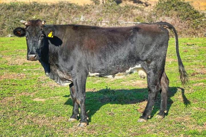 General 78 of 93