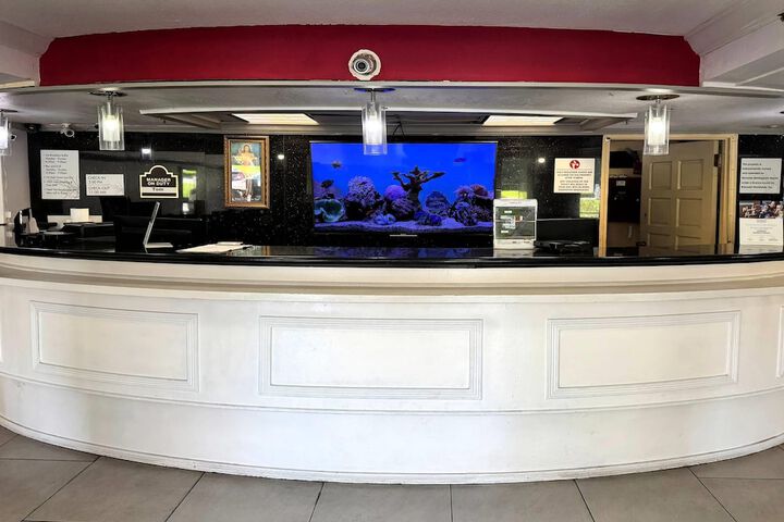 Entrance & Lobby