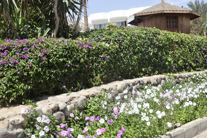 Hotel Exterior 72 of 90