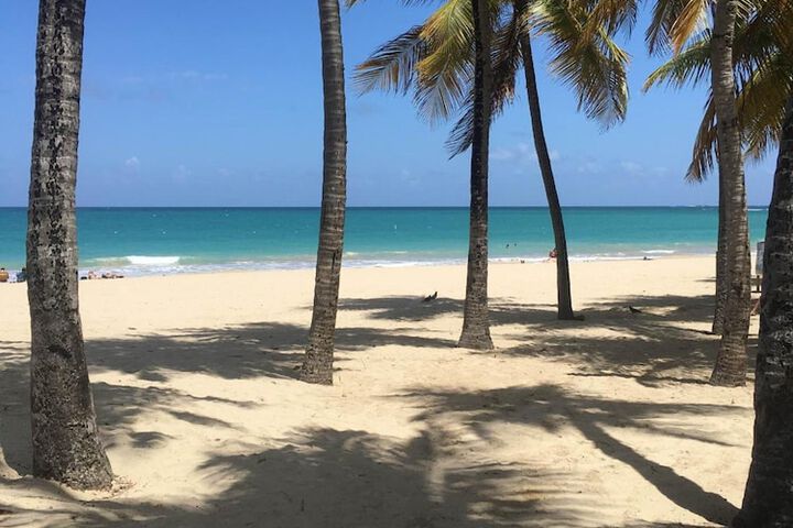 Beach 31 of 37