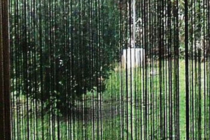 Property Grounds 9 of 12