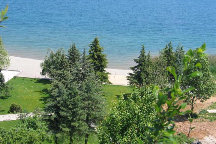 Photo 13