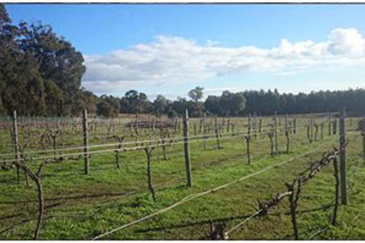 Property Grounds 57 of 62