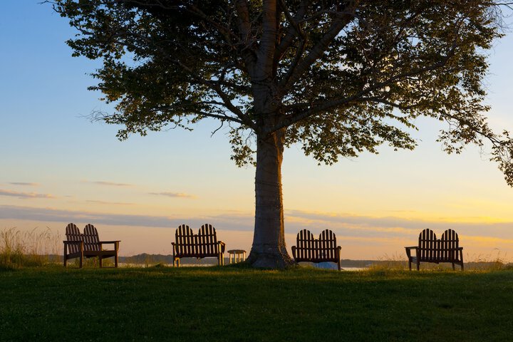 BBQ/picnic area