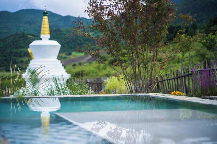 Pool 65 of 72