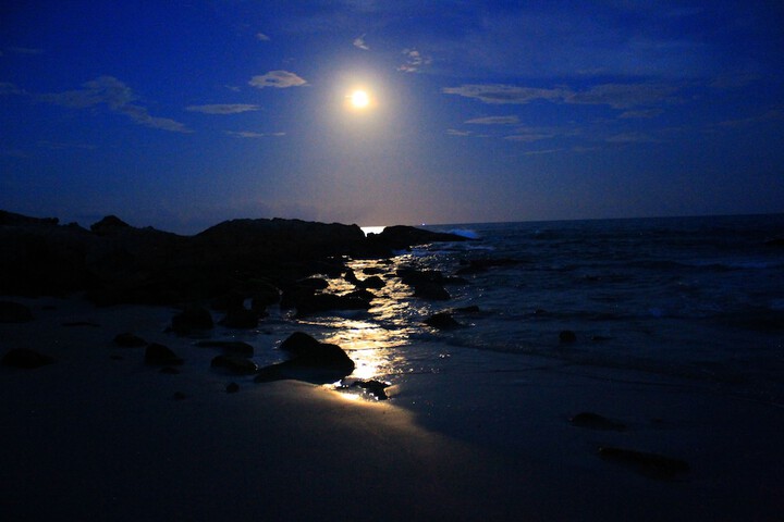 Beach 73 of 87