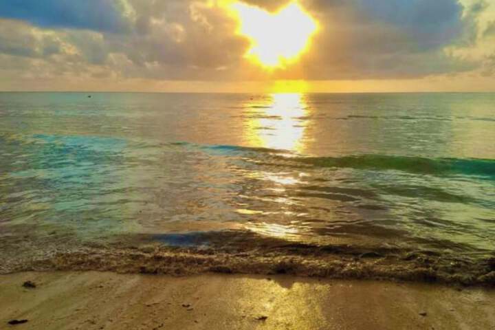 Beach 12 of 23
