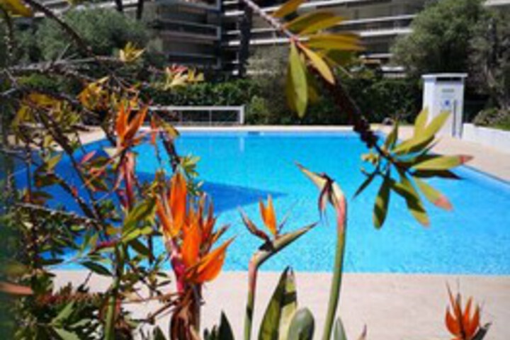Pool 8 of 12