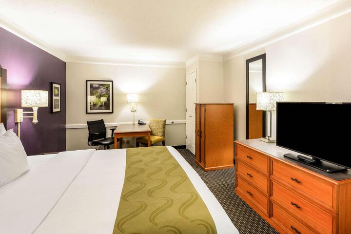 1 King Bed (4 of 8)