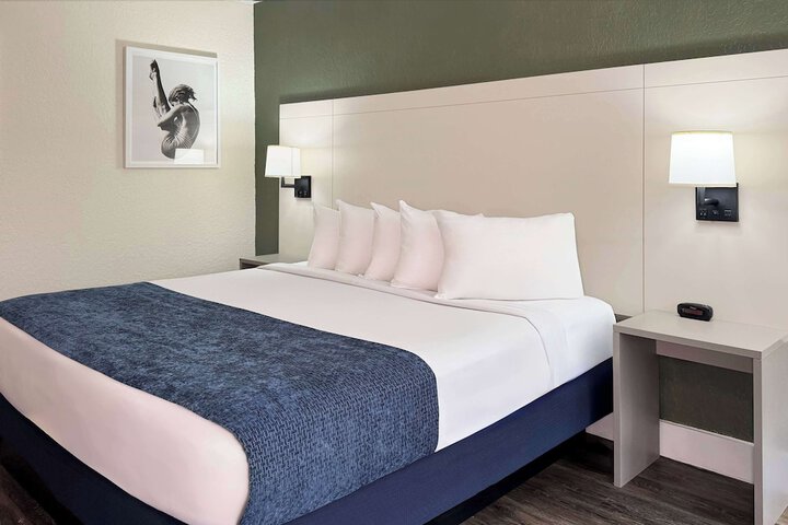 1 King Bed Mobility Accessible Bathtub with Grab Bars (2 of 24)