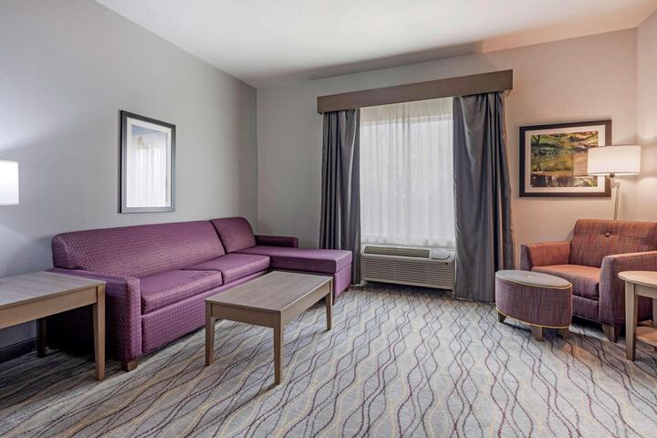 Accessible Suite 2 Queen Mobility Accessible Communication Assistance Bathtub Sofa Bed Non Smo (4 of 13)