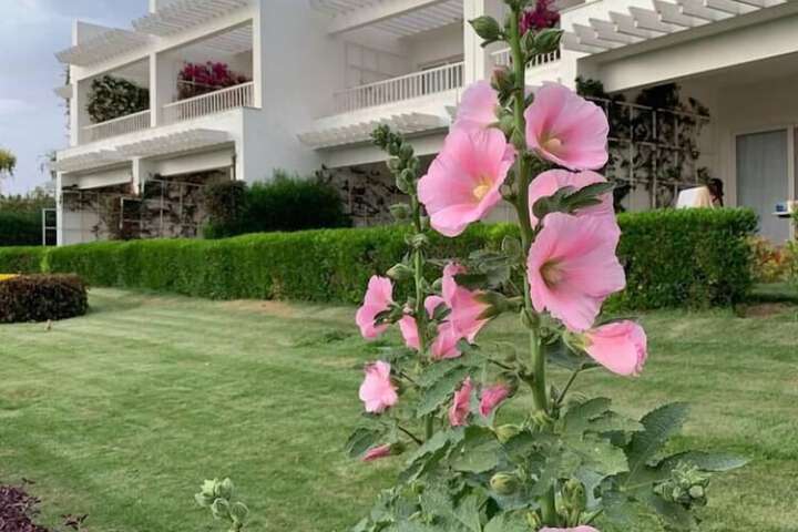 Hotel Exterior 118 of 126
