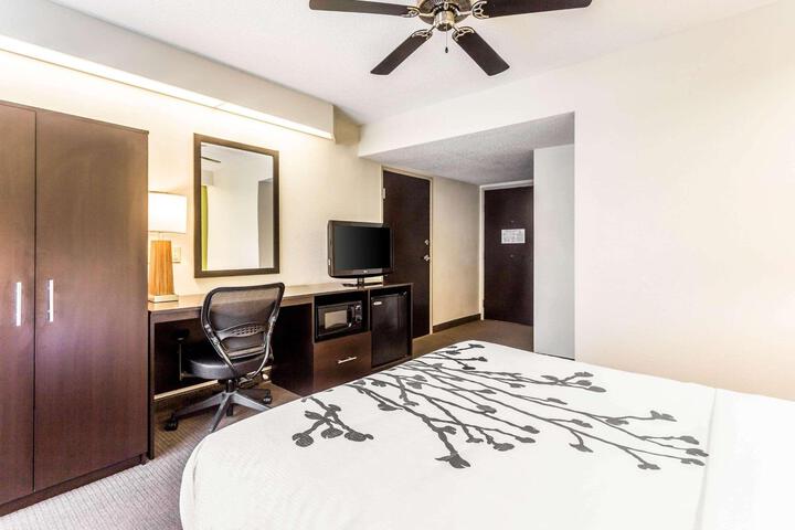 Queen Bed Accessible (5 of 11)