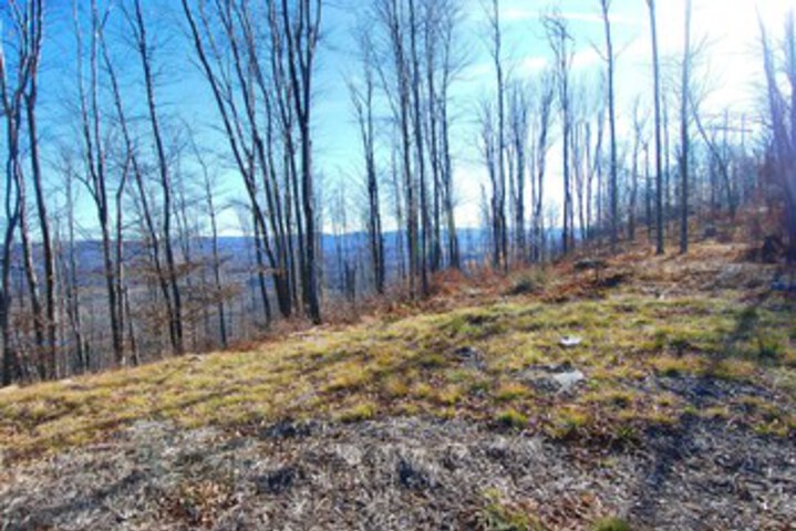 Property Grounds 18 of 31