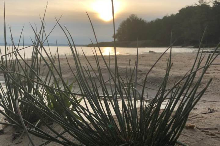 Beach 44 of 54