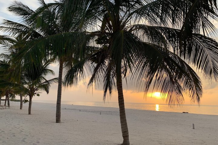 Beach 100 of 138