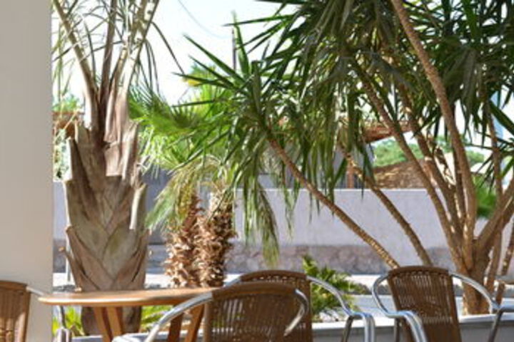 Terrace/Patio 52 of 53