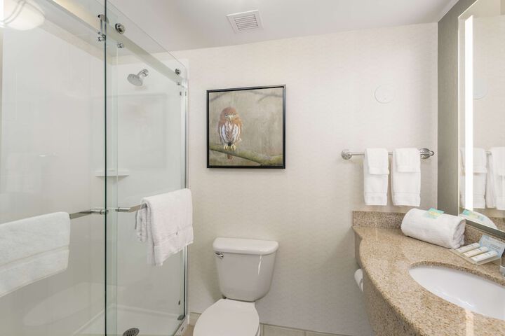 Bathroom shower