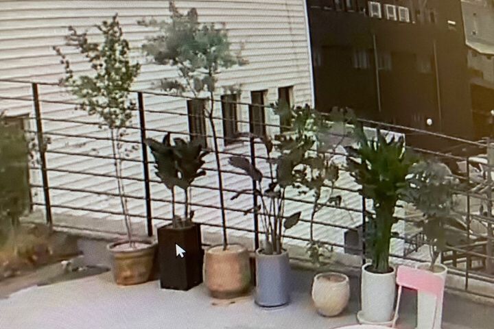 Terrace/Patio 48 of 48