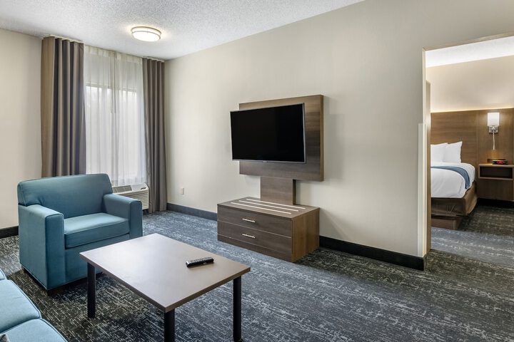 1 King Bed Pet Friendly (11 of 13)