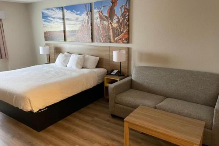 Standard | King Bed (3 of 5)