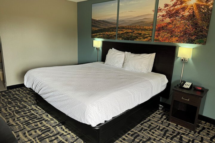 Basic Single Room (1 of 5)