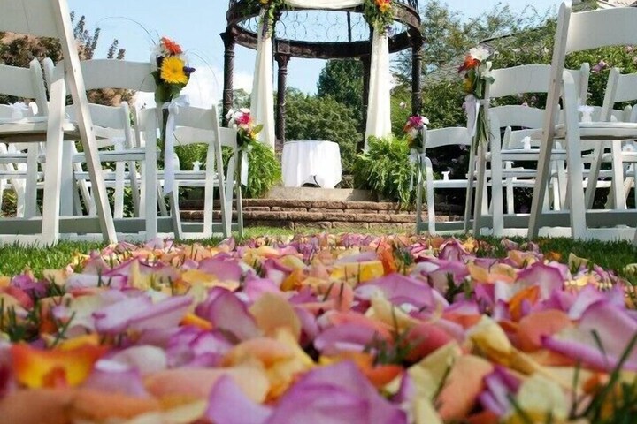 Wedding/Banquet 98 of 100