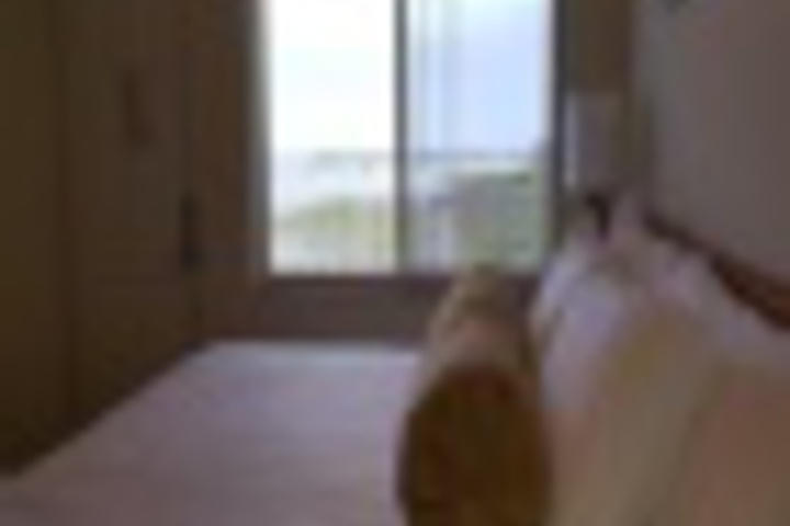 Room 266 of 695