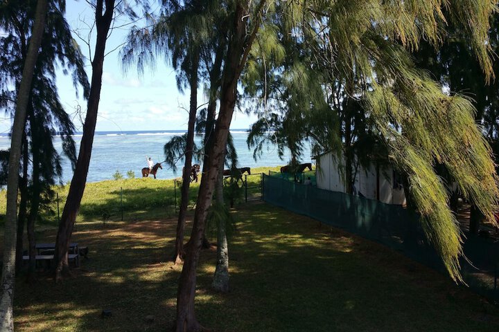 Property Grounds 25 of 41