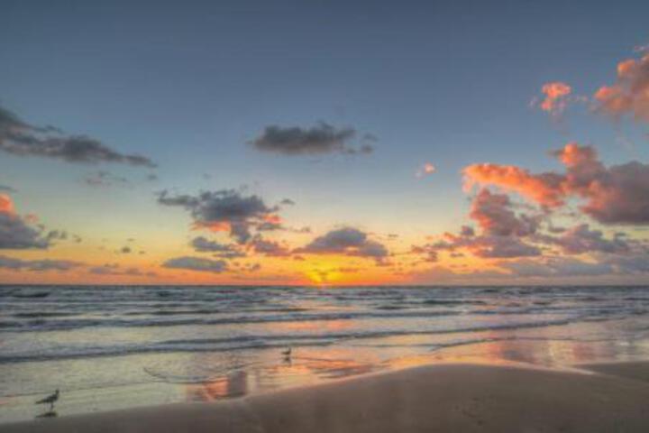 Beachfront Condo at Saida Ii #303 Condo in South Padre Island, TX