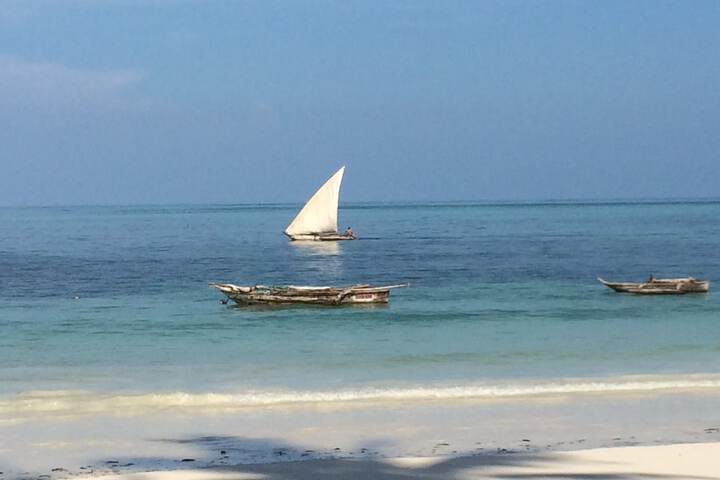 Beach 54 of 65