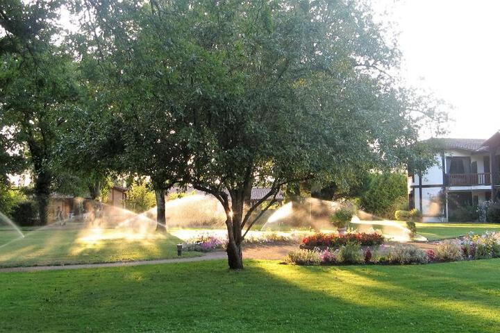 Photo 26