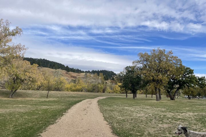 Property Grounds 135 of 172