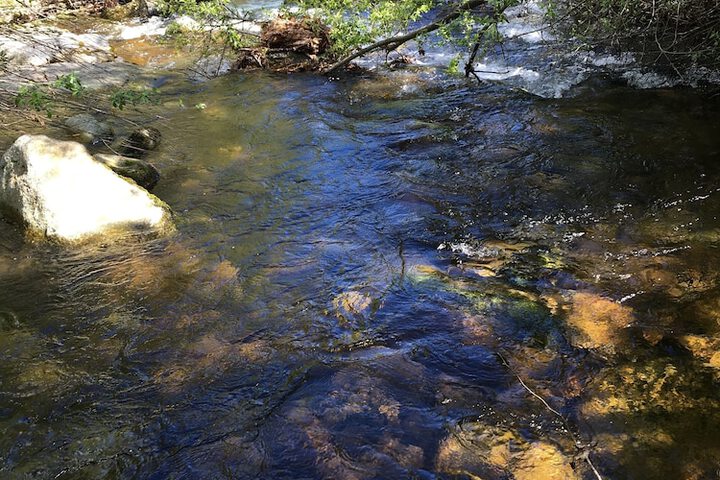 Property Grounds 3 of 8