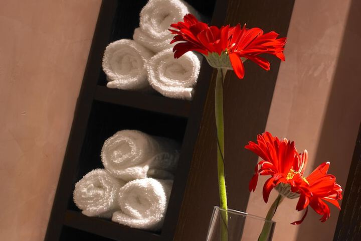 Spa and Wellness