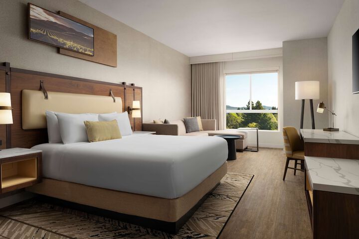 1 King Bed (6 of 9)