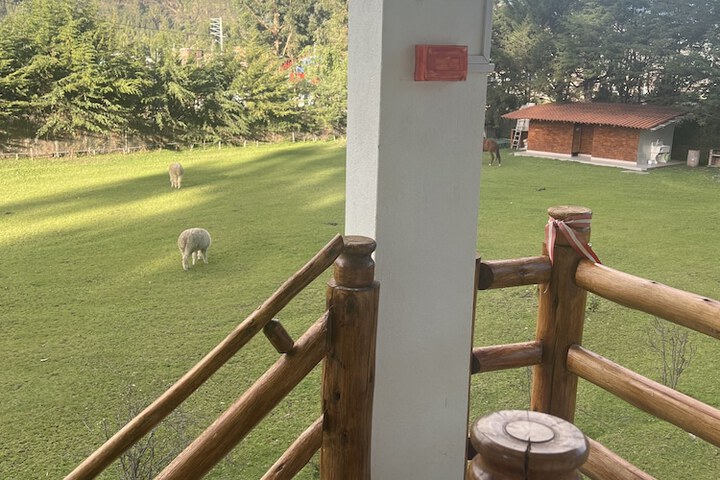 Room 25 of 63