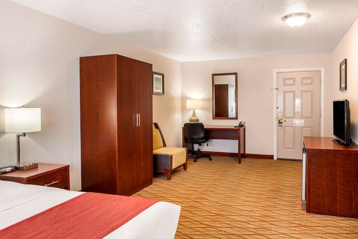 Room 20 of 95