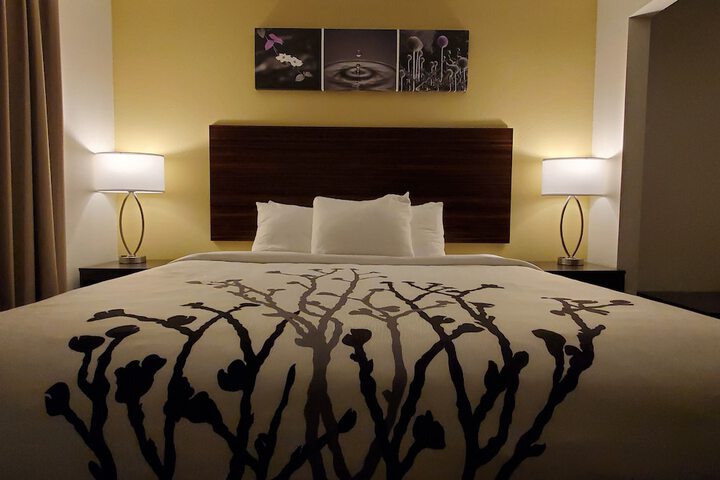 1 King Bed (18 of 29)