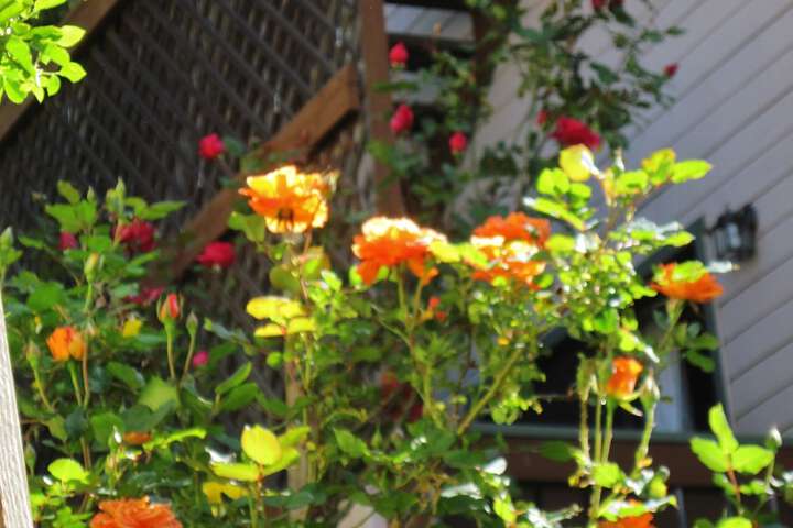 Hotel Exterior 101 of 130