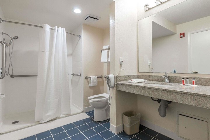 1 King Bed Mobility Hearing Impaired Accessible Room Roll in Shower (17 of 24)