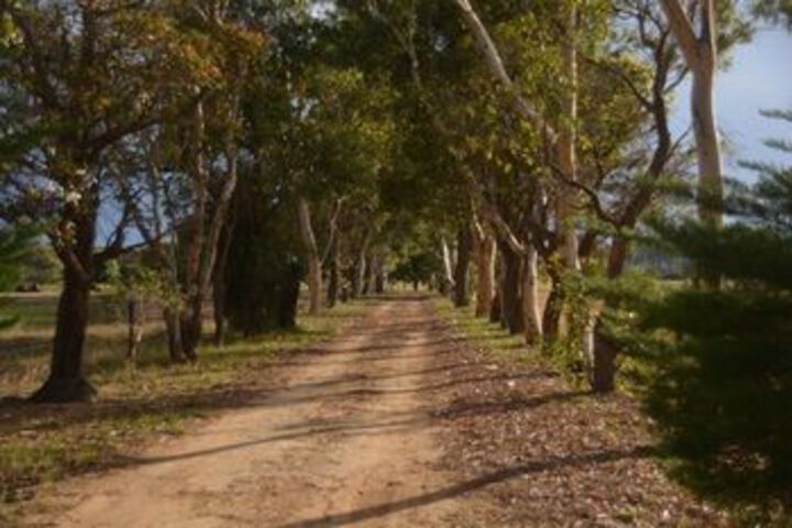 Property Grounds 51 of 54