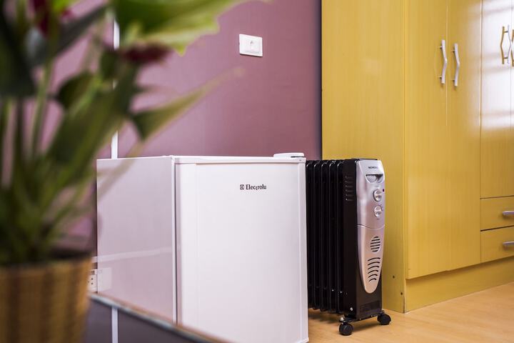 Mini-refrigerator